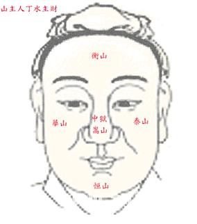 面相五嶽圖_看相大全