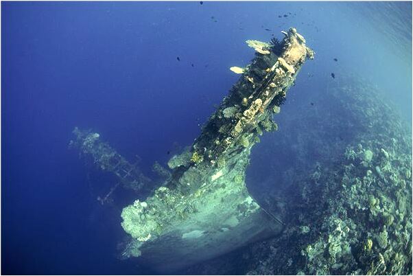 夢到和車一起掉水裡意味什麼_周公解夢官網