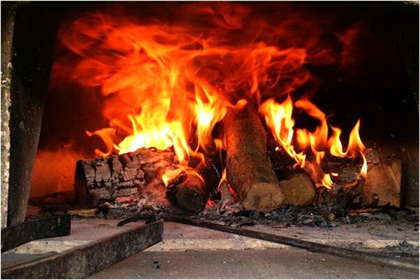 夢到一隻大烏龜三隻小烏龜有什麼說法_周公解夢官網