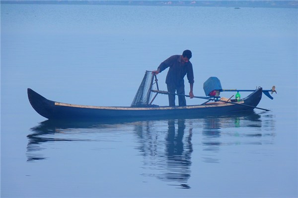 夢到了下河捉魚是什麼啟示_周公解夢
