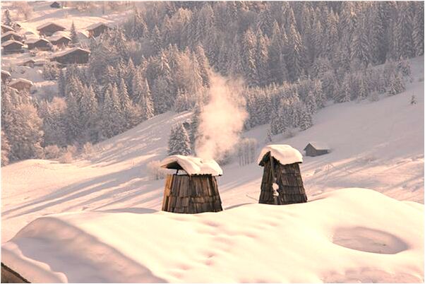 夢到了被兩隻老虎攻擊是什麼意思？_周公解夢官網