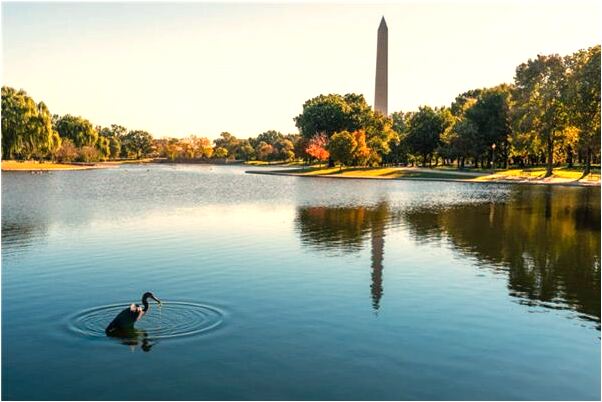 夢見女兒吐髒東西是什麼預兆_周公解夢官網
