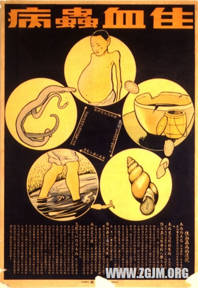 夢見掉廁所沾一身屎_周公解夢夢到掉廁所沾一身屎是什麼意思_做夢夢見掉廁所沾一身屎好不好_周公解夢官網