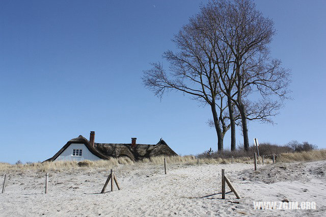 夢見爺爺去世了_周公解夢夢到爺爺去世了是什麼意思_做夢夢見爺爺去世了好不好_周公解夢官網