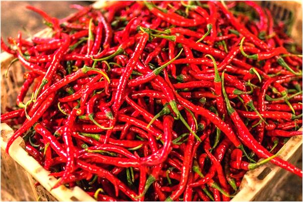 夢到被人釘上想逃跑的預兆_周公解夢官網