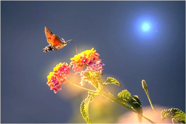 夢到了朋友和他女朋友分手了代表什麼_周公解夢官網