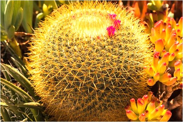 夢到買手鍊被砍斷手有什麼預示嗎_周公解夢官網