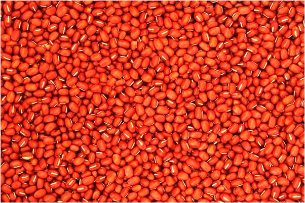 夢見葫蘆和玉石怎么說_周公解夢官網