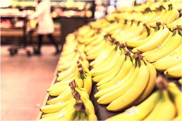 夢到了彩色的貓怎么回事_周公解夢官網