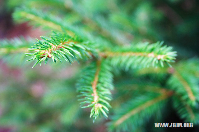 夢見別人家房子上房蓋。_周公解夢夢到別人家房子上房蓋。是什麼意思_做夢夢見別人家房子上房蓋。好不好_周公解夢官網