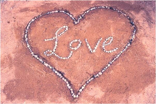 夢到了自己采了很多金銀花是什麼兆頭_周公解夢官網