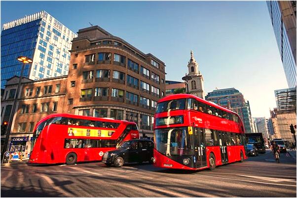 夢到捉到雞有什麼意義嗎_周公解夢官網