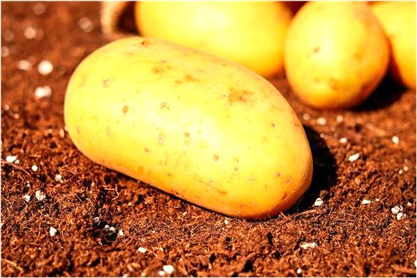 夢見親自己女友什麼寓意_周公解夢官網