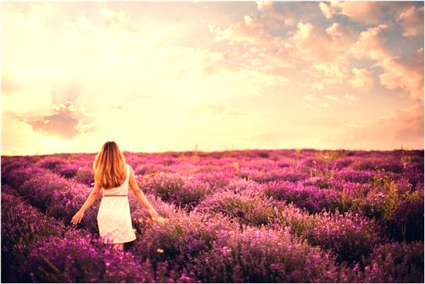 夢到了意中人做的胡蘿蔔會有什麼預兆_周公解夢官網