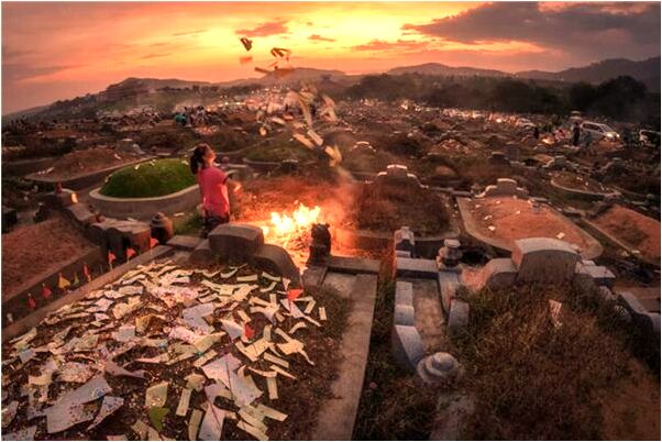 夢見一隻鳥變成了嬰兒有什麼預示嗎_周公解夢官網