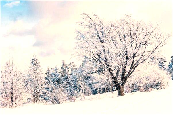 夢見天空慢慢燃燒起來有什麼含義_周公解夢官網