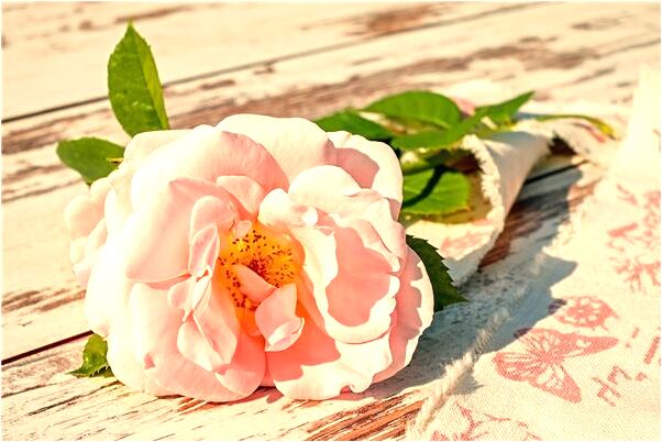 夢到自己划船雨後晴天是不是好的徵兆呢_周公解夢官網