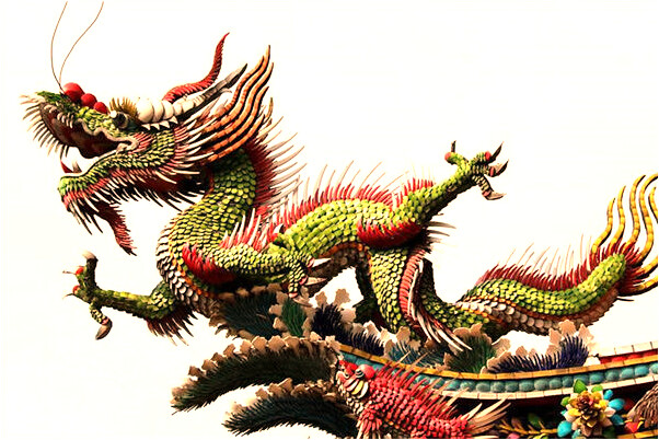 夢到了浮出小鴿子有什麼預兆_周公解夢官網