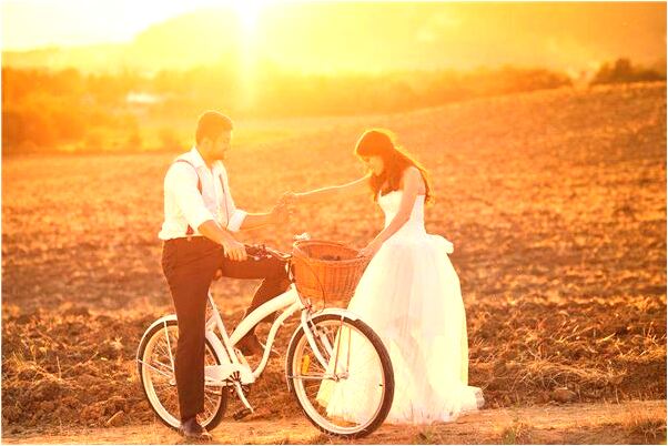 夢見被貓咬的流血是凶兆還是吉兆_周公解夢官網