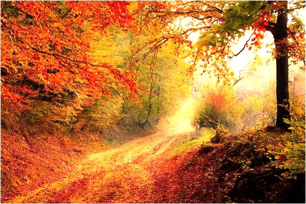 夢到了與丈夫吵架有什麼意義嗎_周公解夢官網