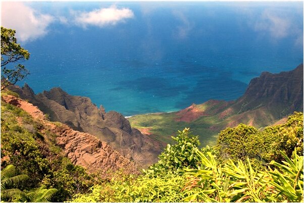 夢到了在水裡摸到一條魚好不好_周公解夢官網