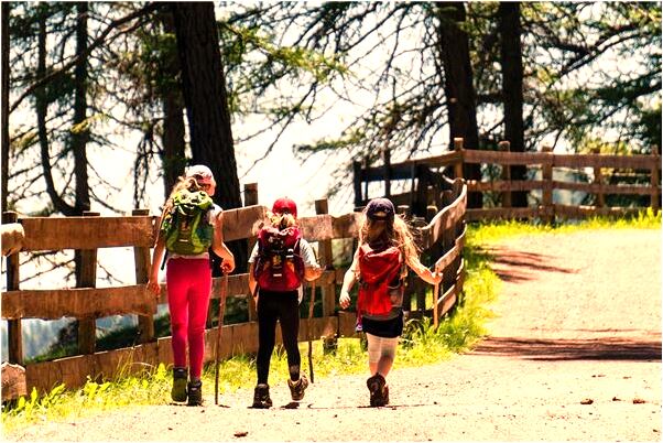 夢見貓跳樓會是什麼預兆_周公解夢官網