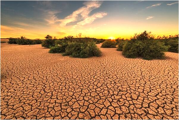 夢見公公嘔吐非常厲害有什麼意思嗎_周公解夢官網