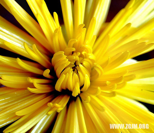 夢見舊同學_周公解夢夢到舊同學是什麼意思_做夢夢見舊同學好不好_周公解夢官網