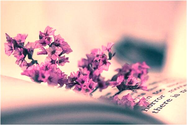 夢到了父母生氣預兆了什麼嗎_周公解夢官網