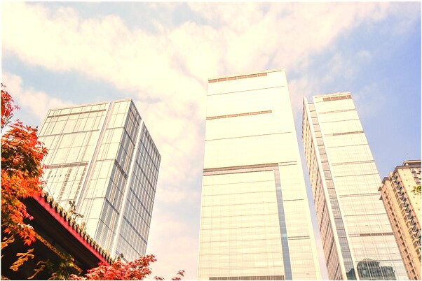 夢見狗與情人意味什麼_周公解夢官網