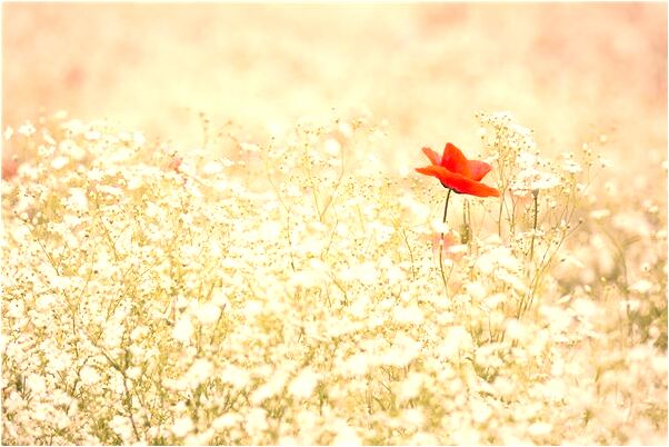 夢到我人死了又復活了會是什麼預兆_周公解夢官網