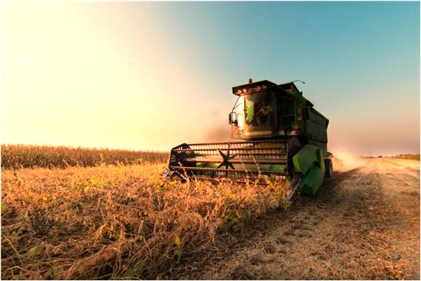 夢到和母親吵意味著什麼_周公解夢官網