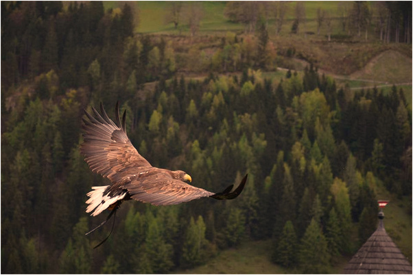 夢到了被死去的父親踩頭是什麼預兆_周公解夢官網