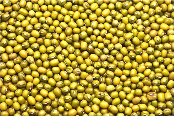 夢到了一條綠蛇咬我腳心的預兆_周公解夢官網