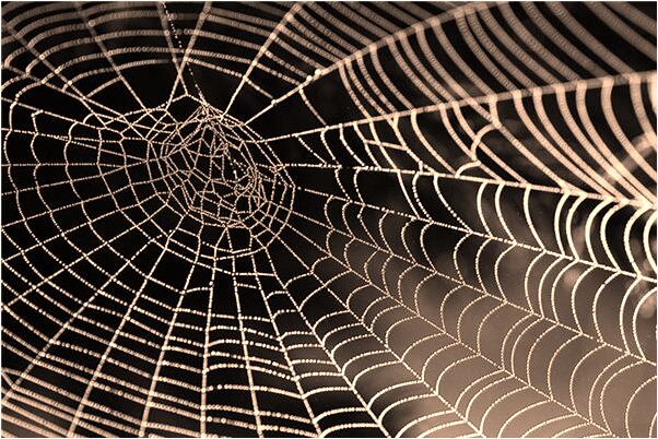 夢到了求男朋友和好沒成功會是什麼預兆_周公解夢官網