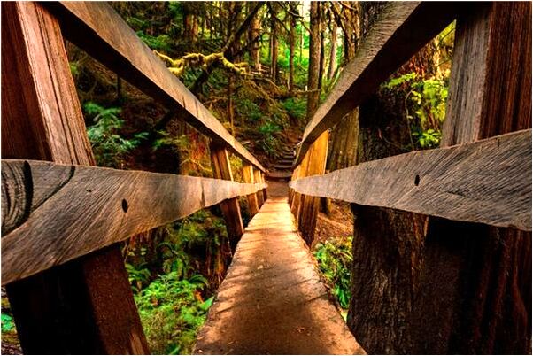 夢到與單位一把手講話是啥意思_周公解夢官網