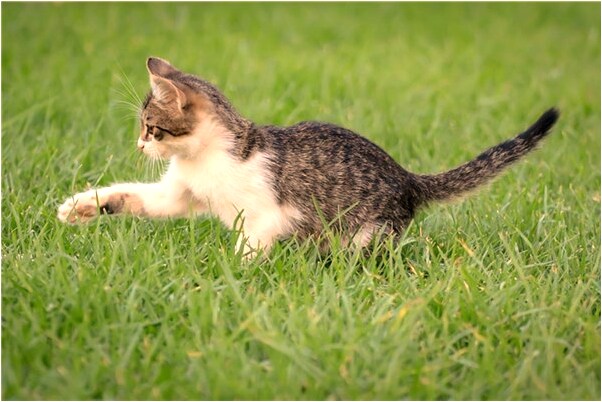 夢見控制別人吃喝是什麼意思_周公解夢官網