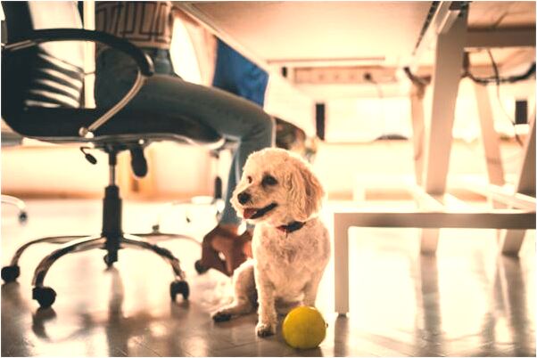 夢到了家鄉搞建築有什麼寓意嗎？_周公解夢官網