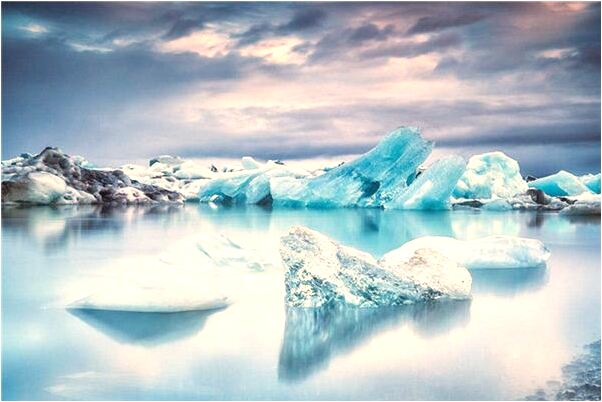 夢見親戚買幾隻山雞來燉湯是凶兆還是吉兆_周公解夢官網