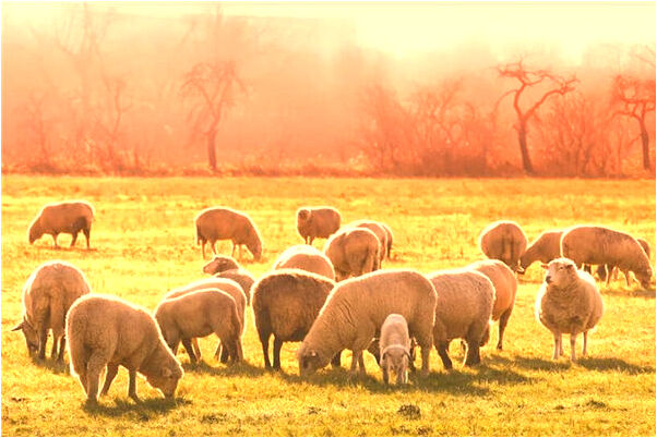 夢到一條蛇咬死了很多人是什麼意思_周公解夢官網