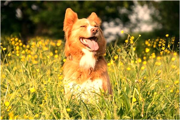 夢到身上有淤青伴隨疼痛會有什麼預兆_周公解夢官網