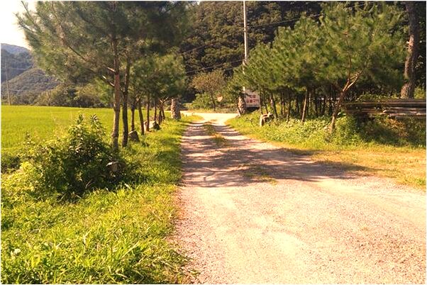 夢到了房子鬆動預兆了什麼嗎_周公解夢官網