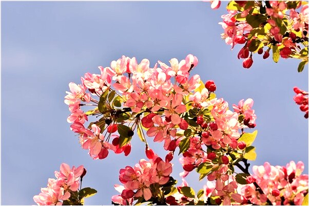 夢到別人開車掉下水有什麼寓意嗎_周公解夢官網