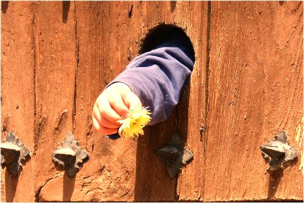 夢到了別人捕到大魚是凶兆還是吉兆_周公解夢官網