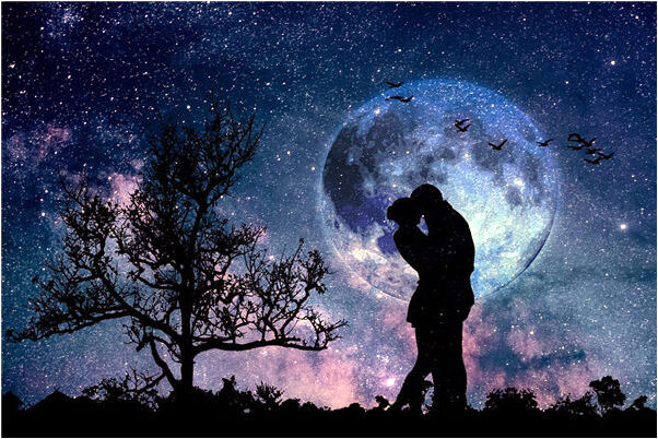 夢到了偷龍爪花怕發現丟掉好不好_周公解夢官網