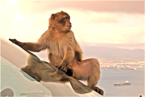 夢到了玻璃劃破手意味著什麼_周公解夢官網