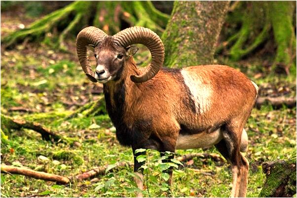 夢到了連褲襪破了是怎么回事_周公解夢官網