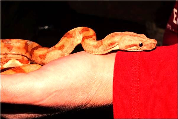 夢到被箭刺傷求醫會是什麼預兆_周公解夢官網