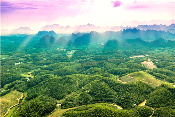 夢到了褲子變了有什麼預示嗎_周公解夢官網