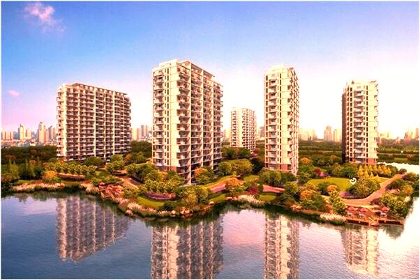 夢見貓和自己躺在床上有何寓意_周公解夢官網